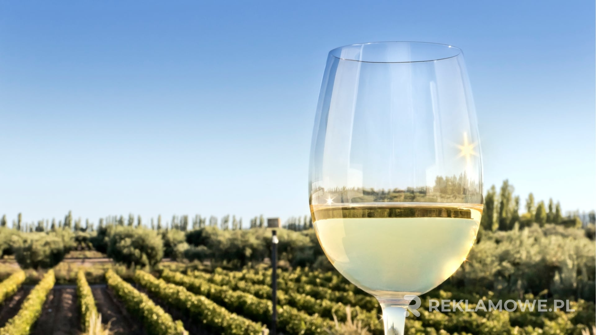 Skuteczność szkła reklamowego w opiniach klientów